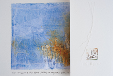 2013 Gallery - Andrea Trace